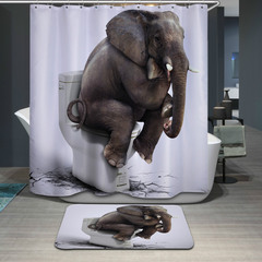 Shower Curtain and Mat*3614608+3614609