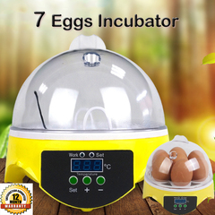 7 Egg Incubator 2016703
