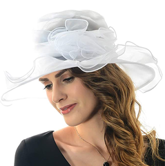 Womens Hats Wide Brim Hat 3017520