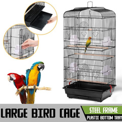 Bird Cage Birds Cages 2023501