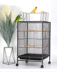 Bird Cage Birds Cages 2023502