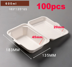 Food Containers Takeaway Box 100pcs 2042401*2042401+100