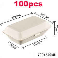 Food Containers Takeaway Box 100pcs 2042406*2042406+100